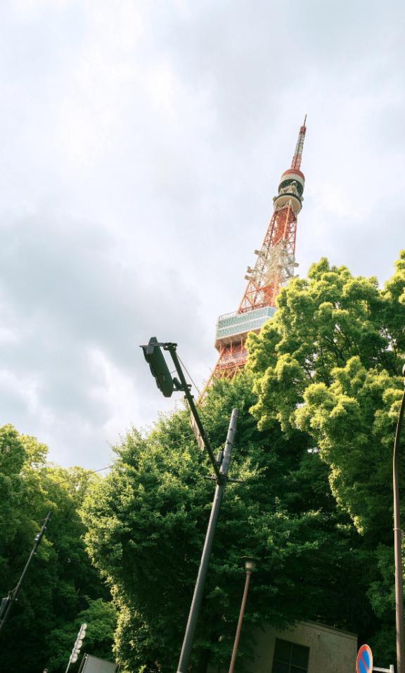「ことり」の写真