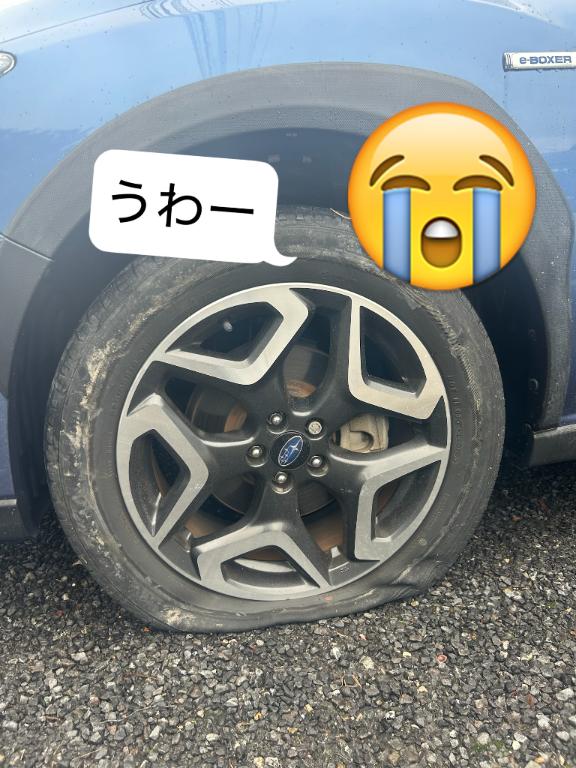 「あん」の写真