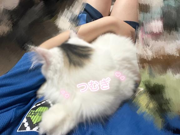 「つむぎ」の写真