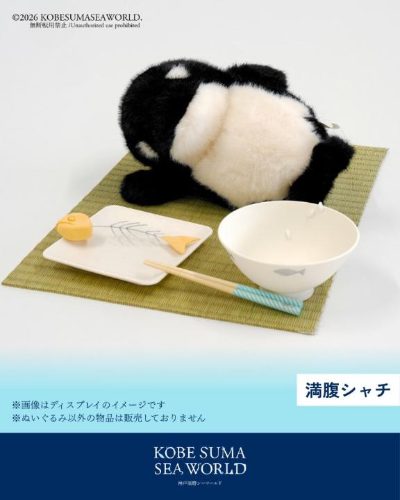 「あむ」の写真