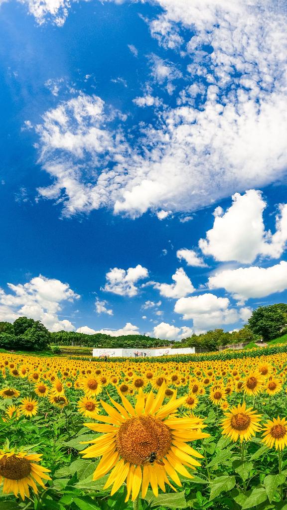 「りおな」の写真