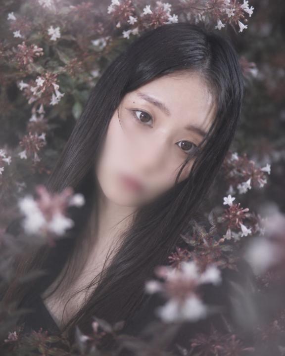 「青葉」の写真