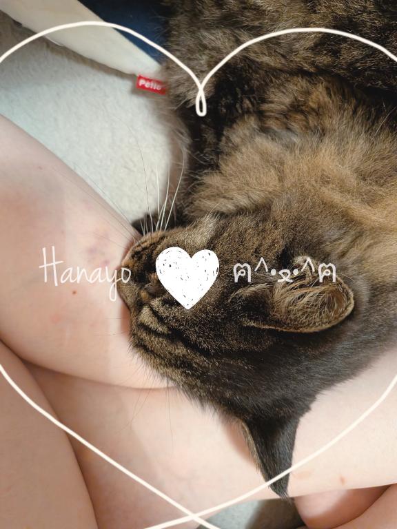 「はなよ」の写真