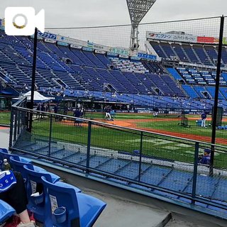 「しのん」の写真