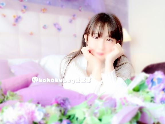 「こはく」の写真