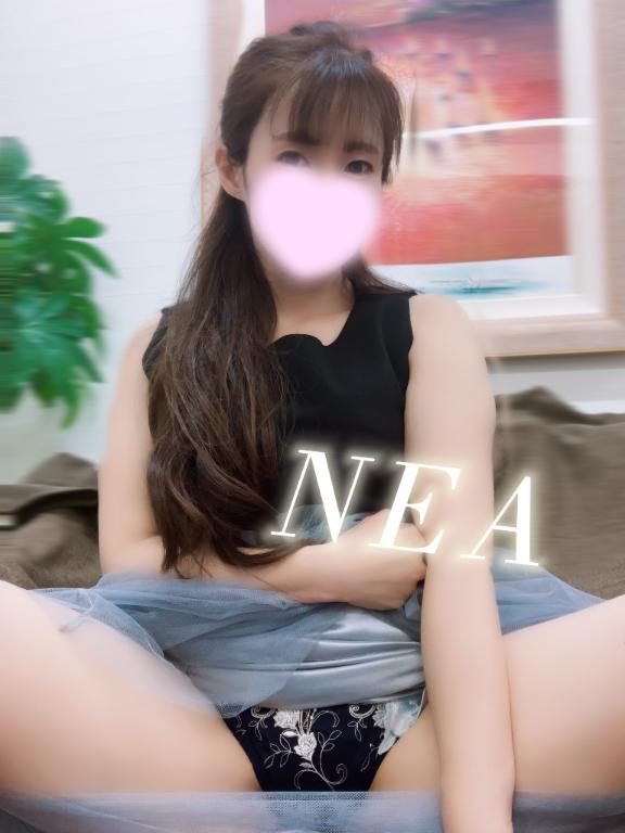 「ねあ」の写真