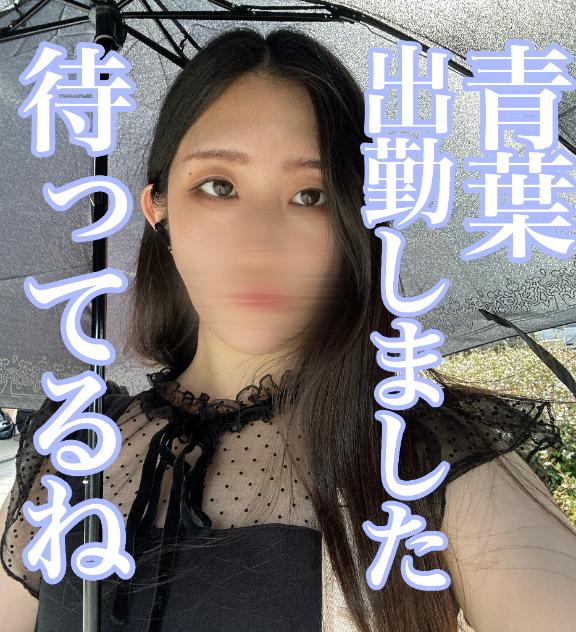 「青葉」の写真