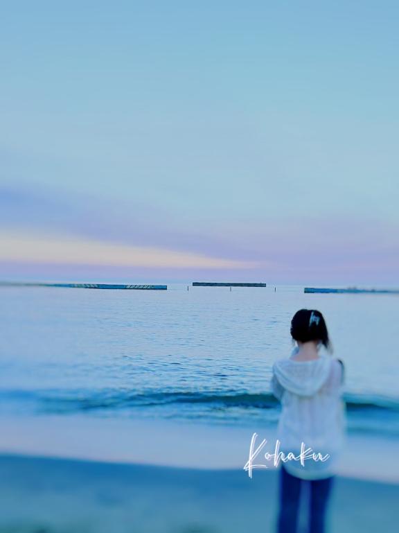 「こはく」の写真