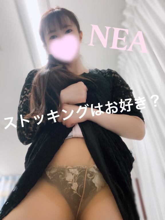 「ねあ」の写真