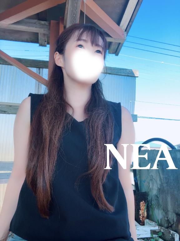 「ねあ」の写真