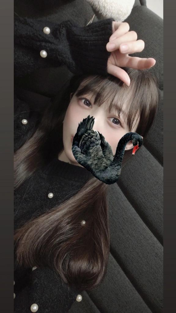 「ことり」の写真