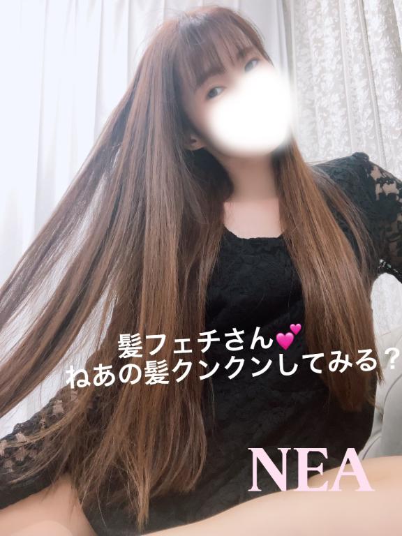 「ねあ」の写真