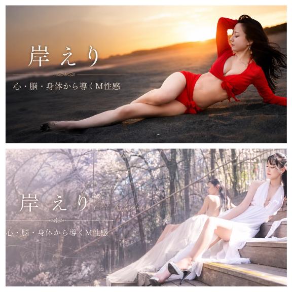 「岸えり」の写真