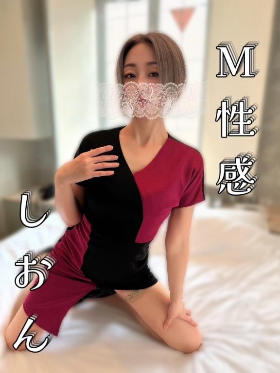 「しおん」の写真