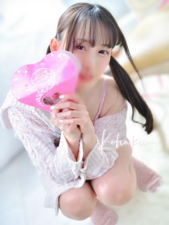 「こはく」の写真