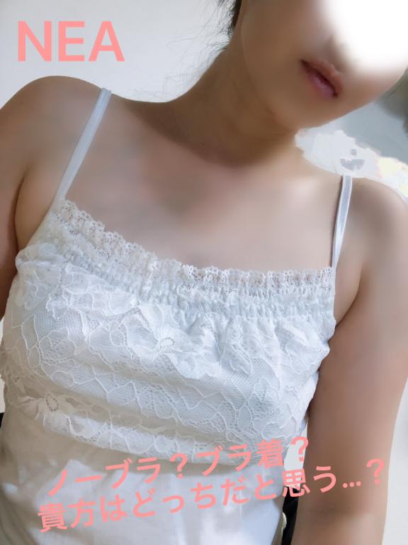 「ねあ」の写真