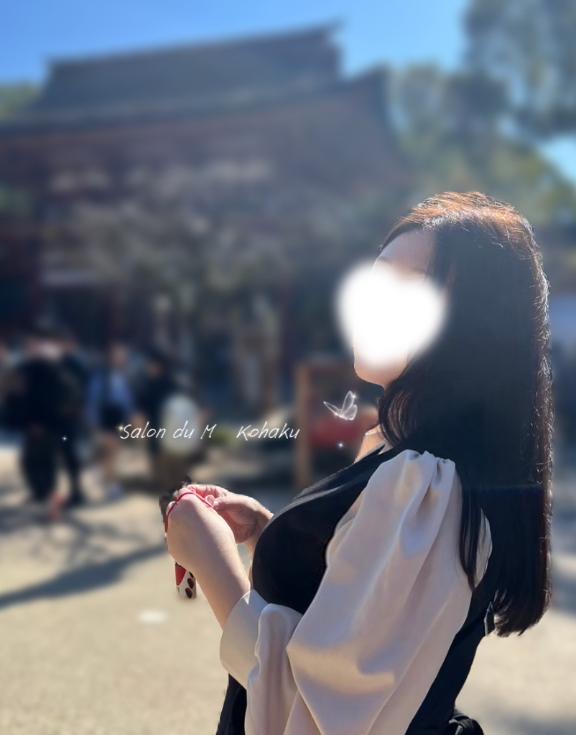 「琥珀」の写真