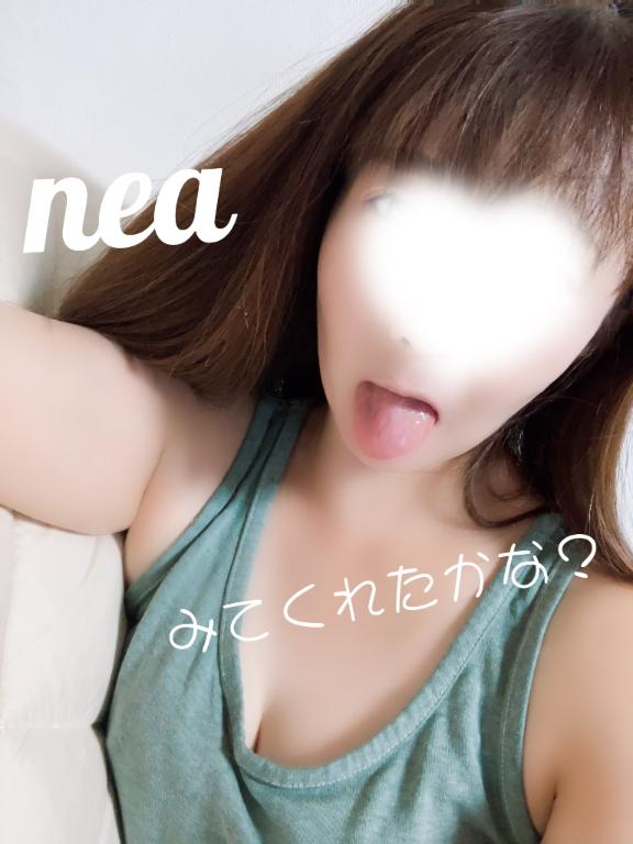 「ねあ」の写真