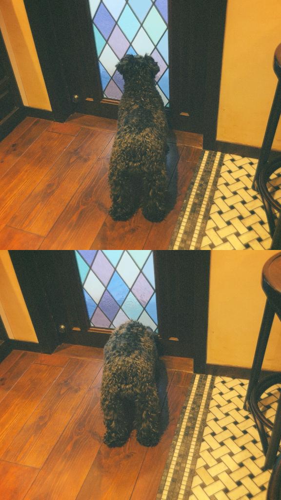 「あすか」の写真