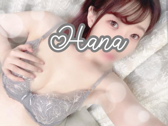 「はな」の写真