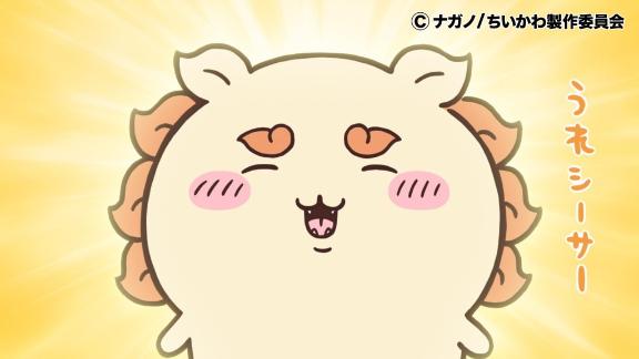 「つむぎ」の写真