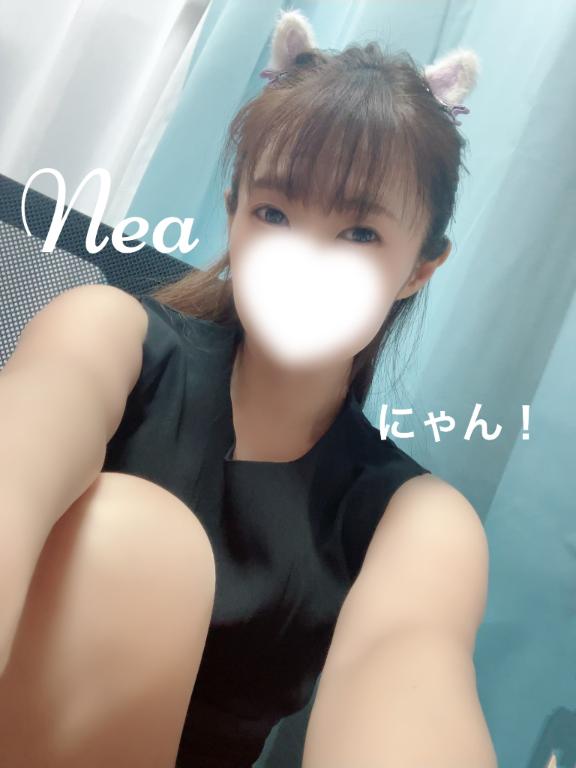 「ねあ」の写真