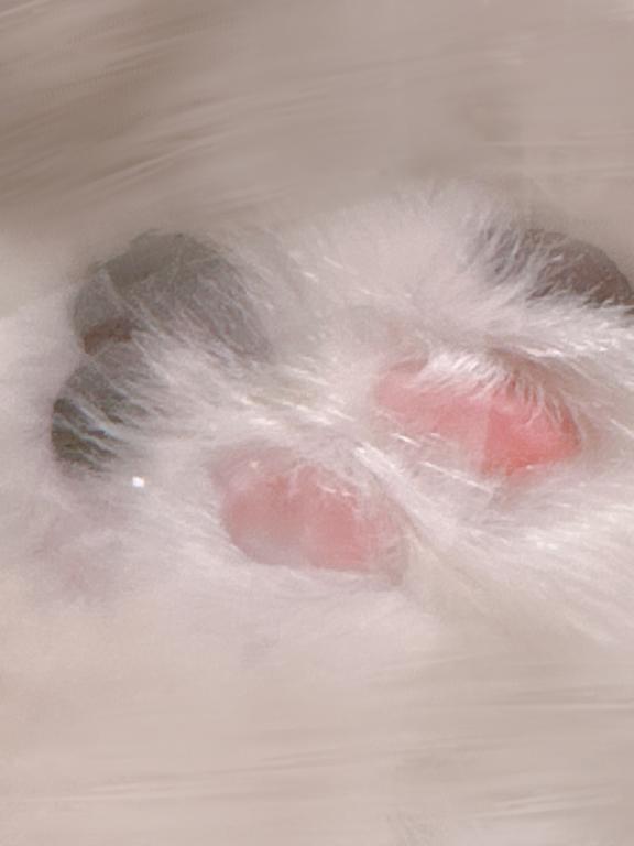 「つむぎ」の写真