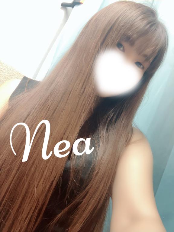 「ねあ」の写真