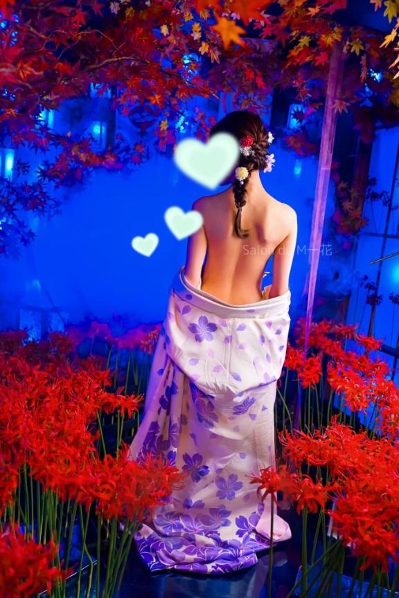 「一花」の写真