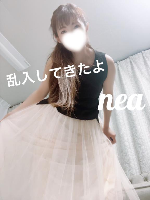 「ねあ」の写真