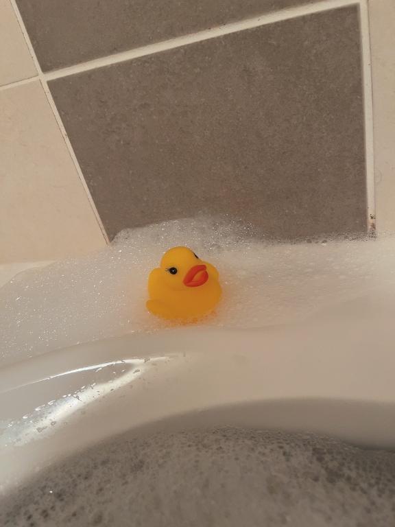 「さえ」の写真