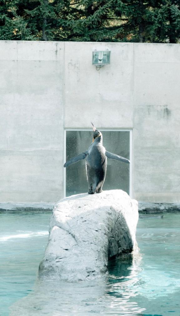 「あすか」の写真
