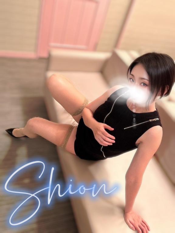 「しおん」の写真