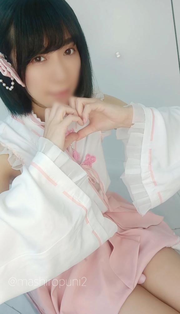 「ましろ」の写真