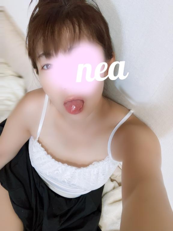 「ねあ」の写真