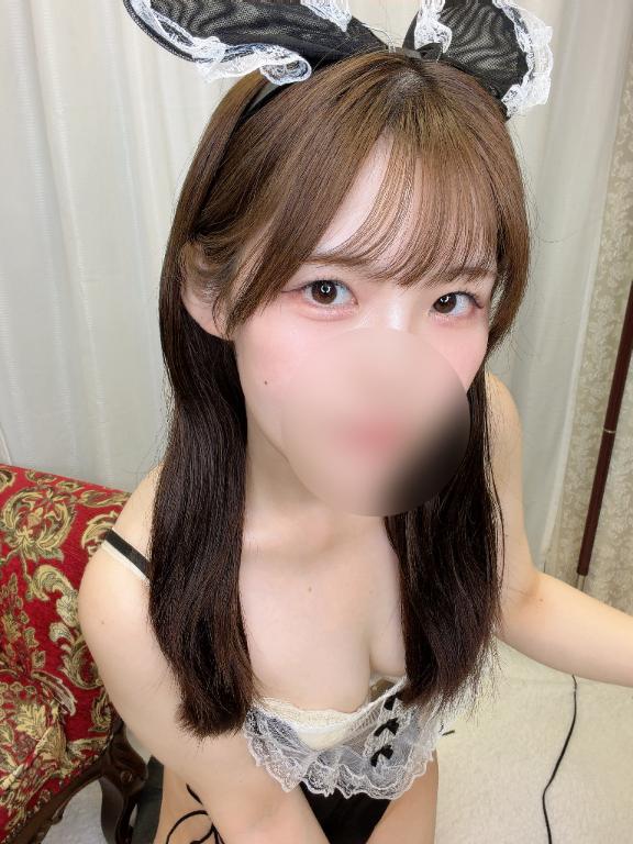 「ひかり」の写真
