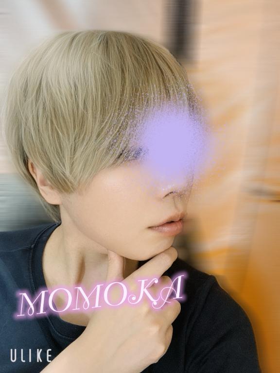 「ももか」の写真