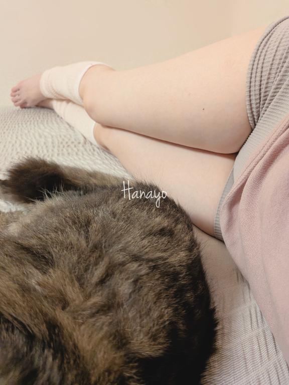 「はなよ」の写真