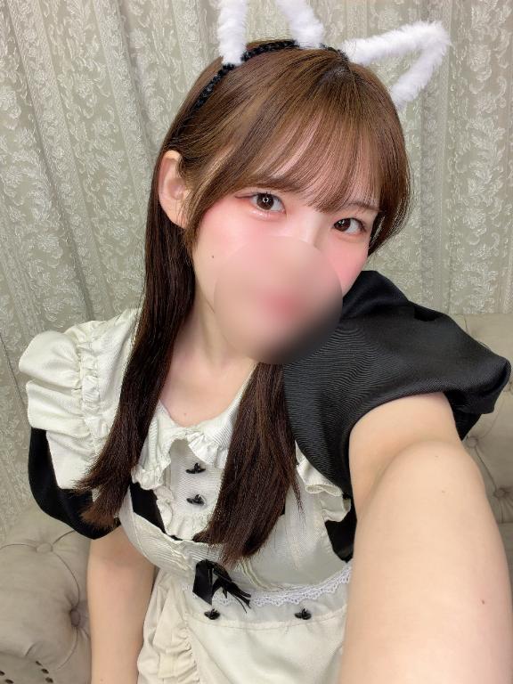 「ひかり」の写真
