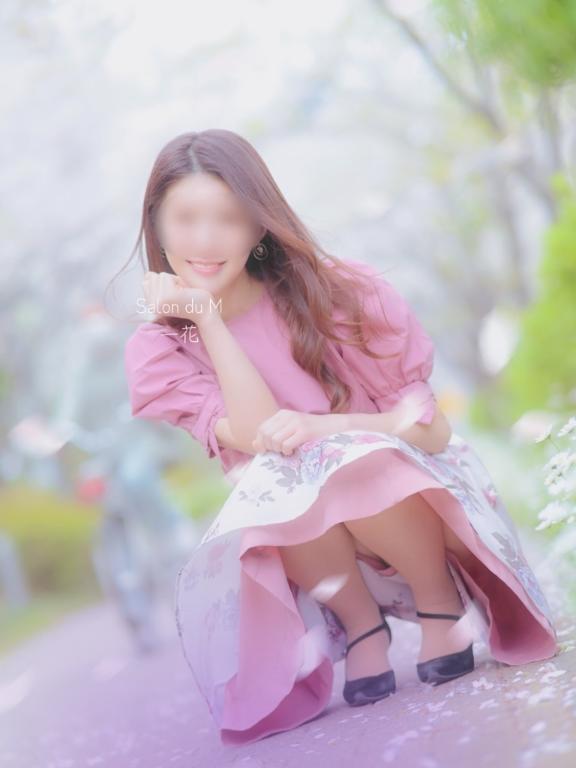 「一花」の写真