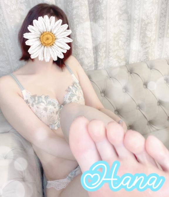「はな」の写真