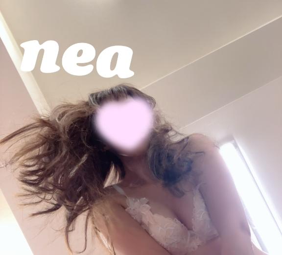「ねあ」の写真