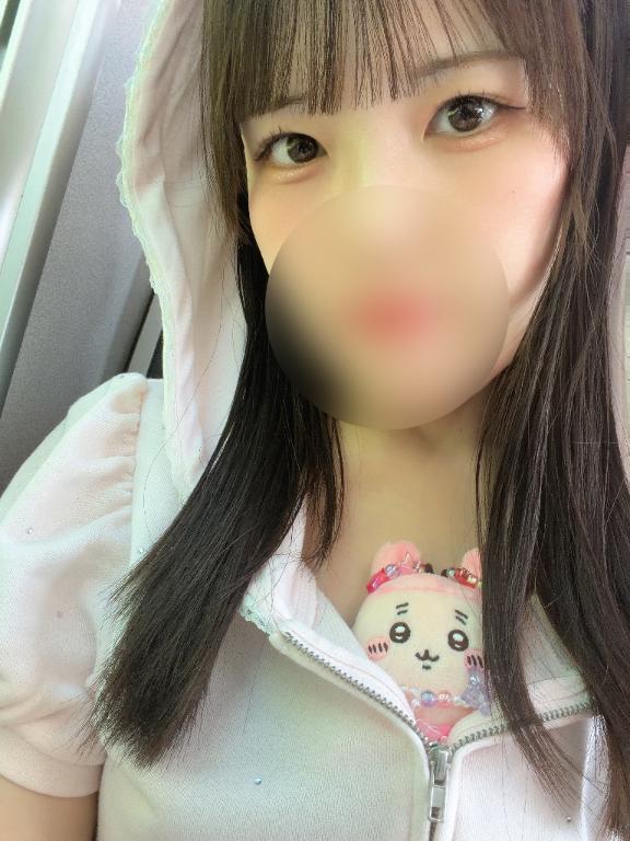 「ひかり」の写真
