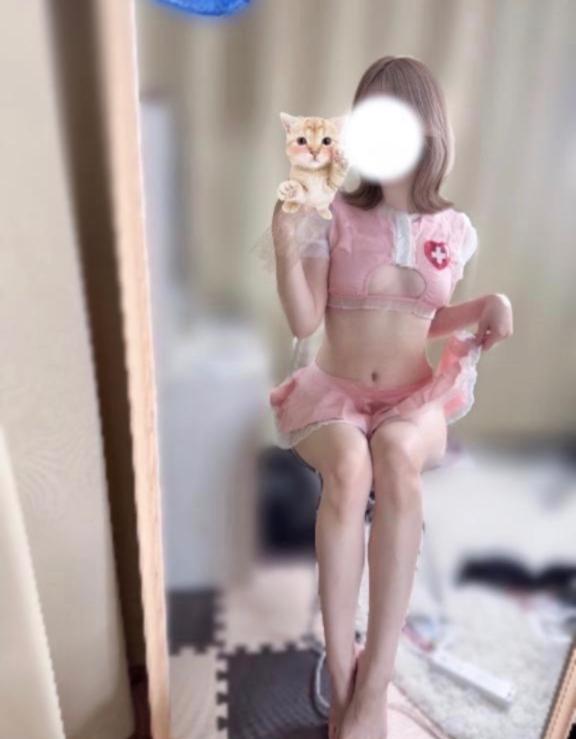 「しの」の写真