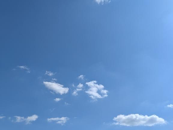 「はなよ」の写真