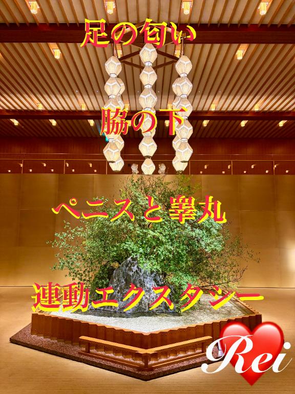「れい」の写真