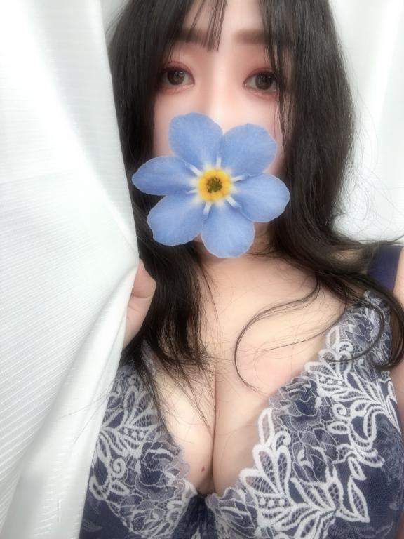 「あみ」の写真