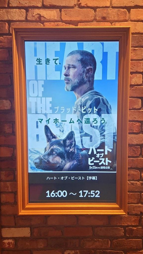 「しのん」の写真