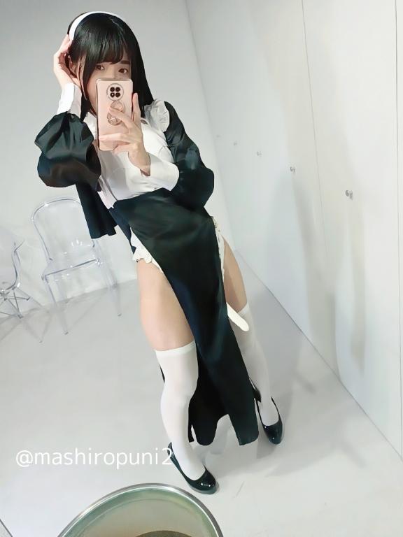 「ましろ」の写真