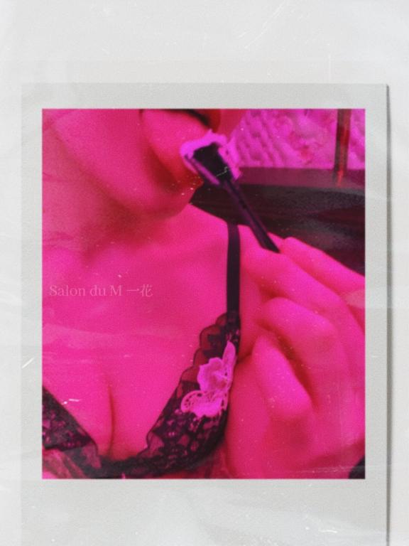 「一花」の写真